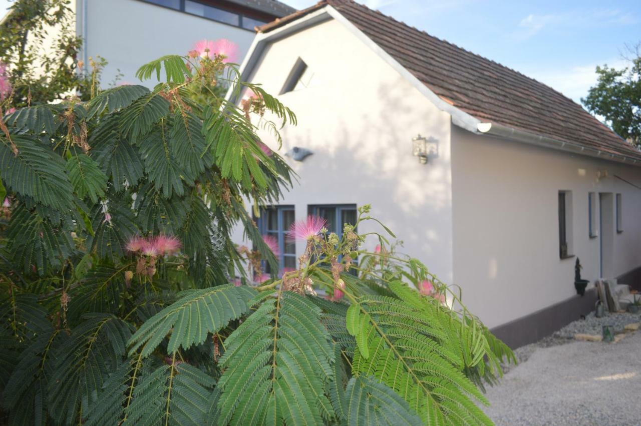 Das Nest Eisenstadt Exterior photo